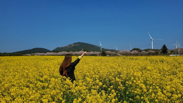 사용자 이미지