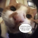 사용자 이미지