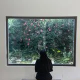 당고