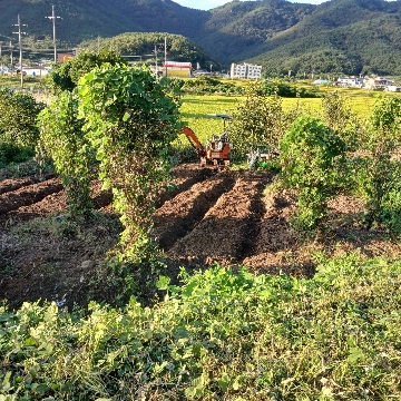 김동호 고수 프로필