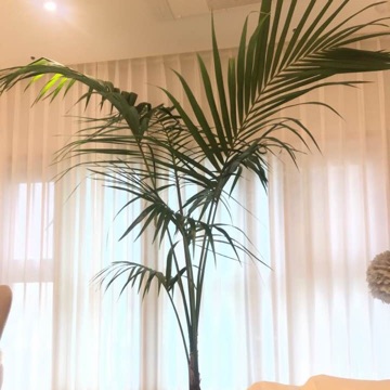 사용자 이미지