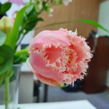 사용자 이미지