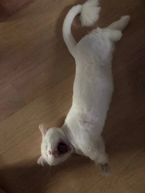 사용자 이미지