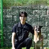 반려견 문제행동 교정 전문 하울독