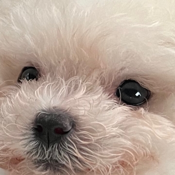 사용자 이미지