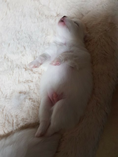사용자 이미지