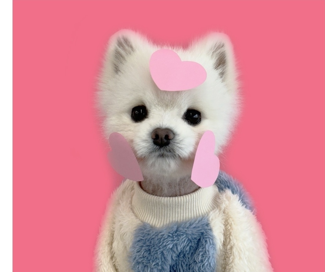사용자 이미지
