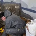 그린메이트 (곰팡이제거 작업)