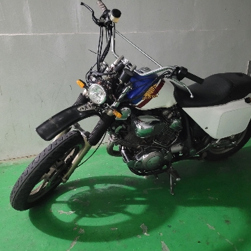 로토 고수 프로필
