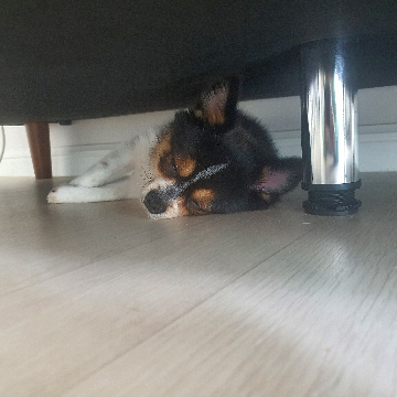 사용자 이미지