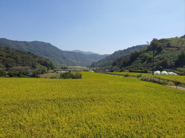 사용자 이미지