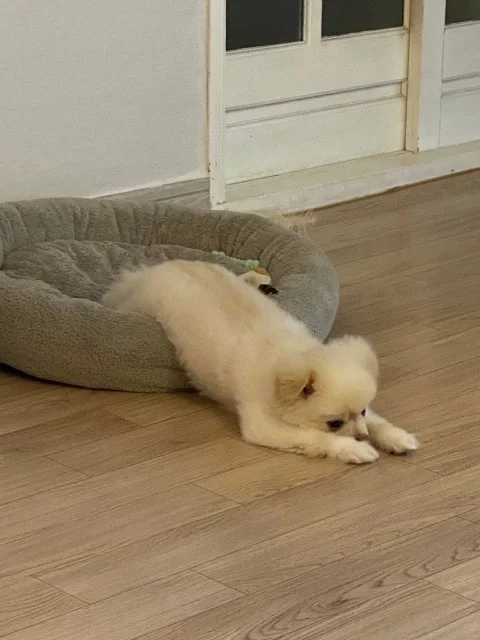 에어컨 청소 - 숨고, 숨은고수 에어컨 청소
