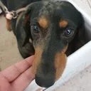 대전소파매트리스에어컨청소 깔끔홈케어