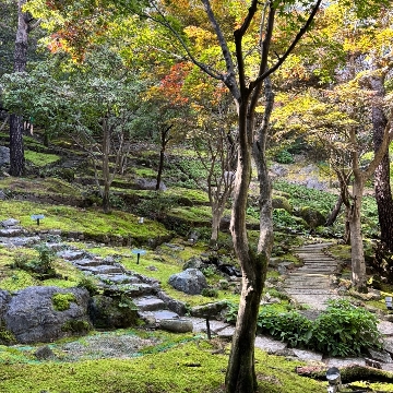 사용자 이미지