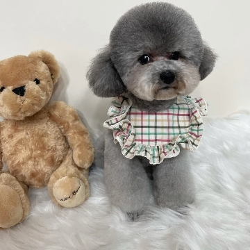 사용자 이미지