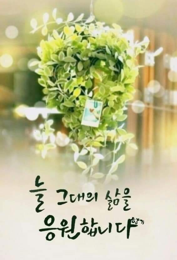 사용자 이미지