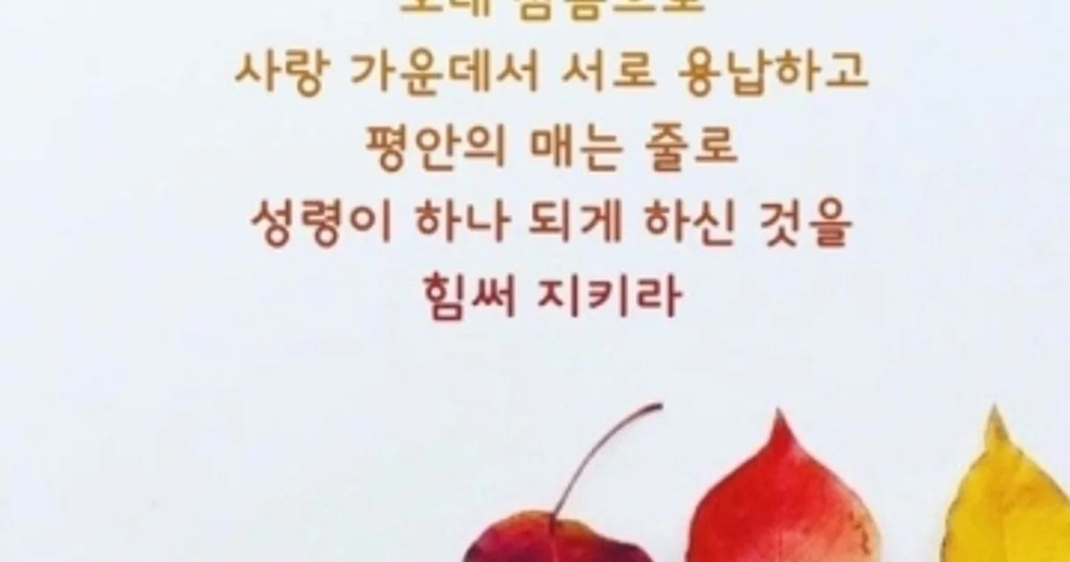 정쌤 고수의 영어 과외 서비스, 경기도 용인시 - 숨고, 숨은고수 정쌤 고수의 영어 과외 서비스, 경기도 용인시
