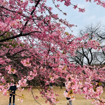 사용자 이미지