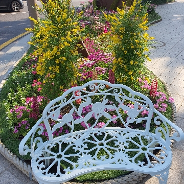 사용자 이미지