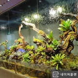 사용자 이미지