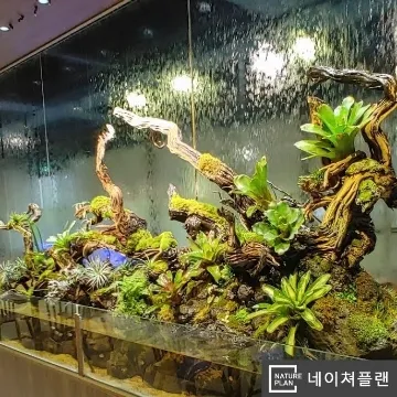 사용자 이미지