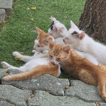 사용자 이미지