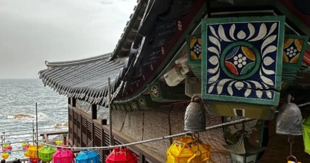 이현석 고수의 디테일링세차/광택 서비스, 서울 도봉구 - 숨고, 숨은고수 이현석 고수의 디테일링세차/광택 서비스, 서울 도봉구