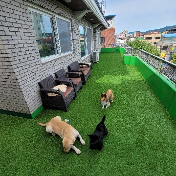 사용자 이미지