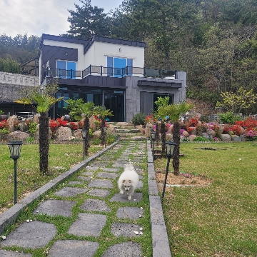 사용자 이미지