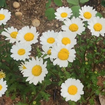 사용자 이미지