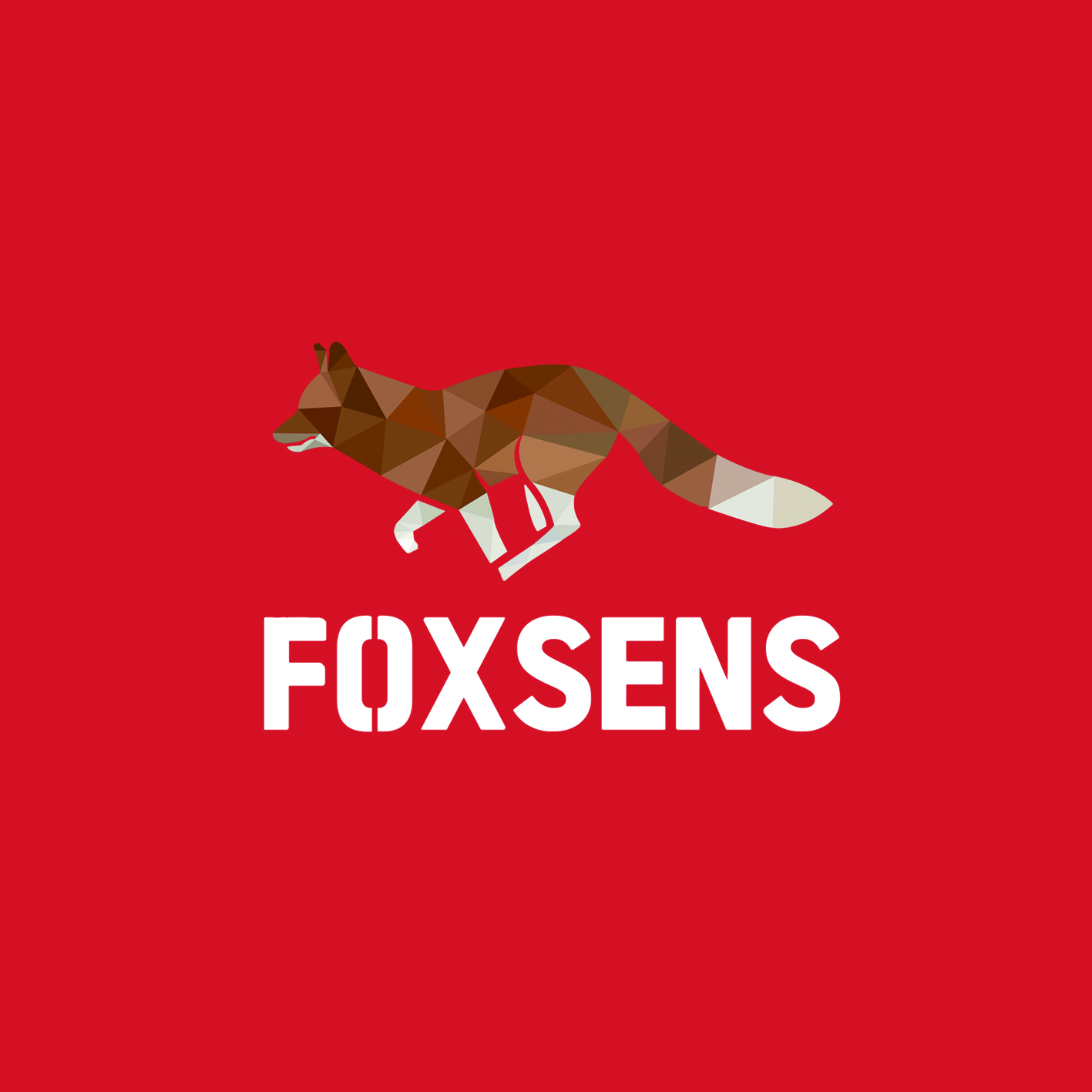 FOXSENS(폭스신스) 고수 프로필
