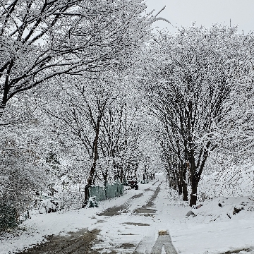사용자 이미지
