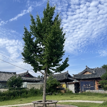 사용자 이미지