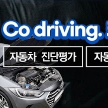 코디 자동차 진단평가 그룹 고수 프로필