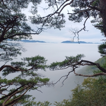 사용자 이미지