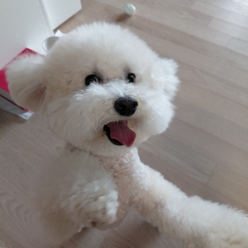 사용자 이미지