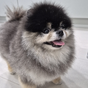 사용자 이미지