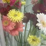 JESS 영문 비즈니스 커뮤니케이터