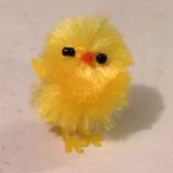 진이