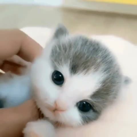사용자 이미지