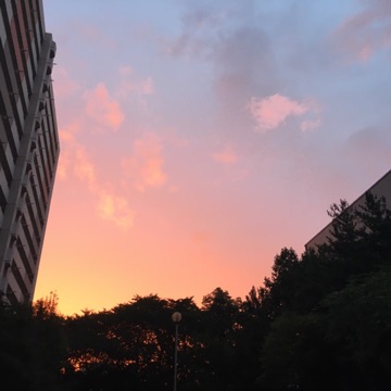 사용자 이미지