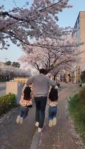 예니제니 고수 프로필