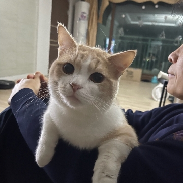 사용자 이미지