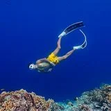 유정진(AIDA·SSI)6년차 프리다이빙강사