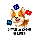유튜브 알려주는 웰시코기