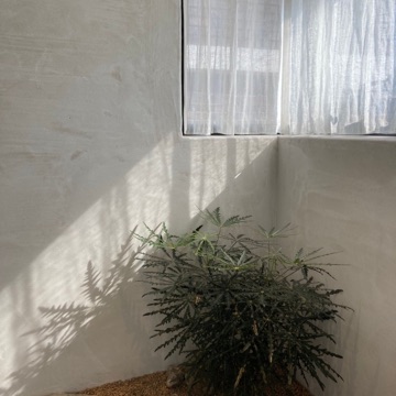사용자 이미지