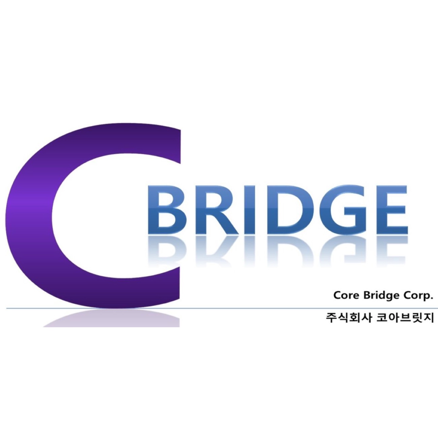 (주)코아브릿지 고수 프로필