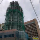 사용자 이미지
