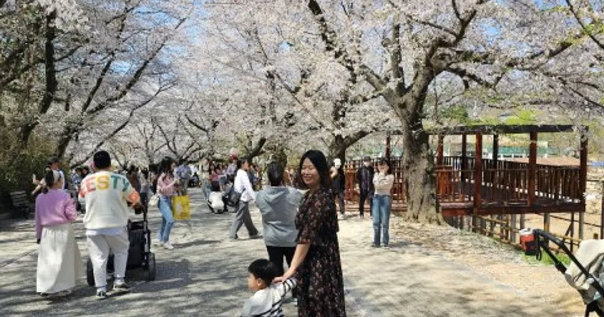 유호인 고수의 식물 관리 및 렌탈 서비스, 전북 정읍시 - 숨고, 숨은고수 유호인 고수의 식물 관리 및 렌탈 서비스, 전북 정읍시