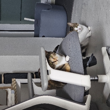 사용자 이미지